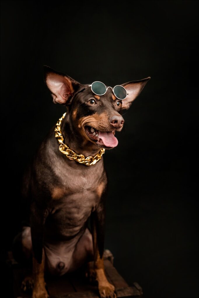 Tory Burch womens Ty7169u Universal Fit Rectangular Sunglasses Tory Burch womens Ty7169u Universal Fit Rectangular Sunglasses